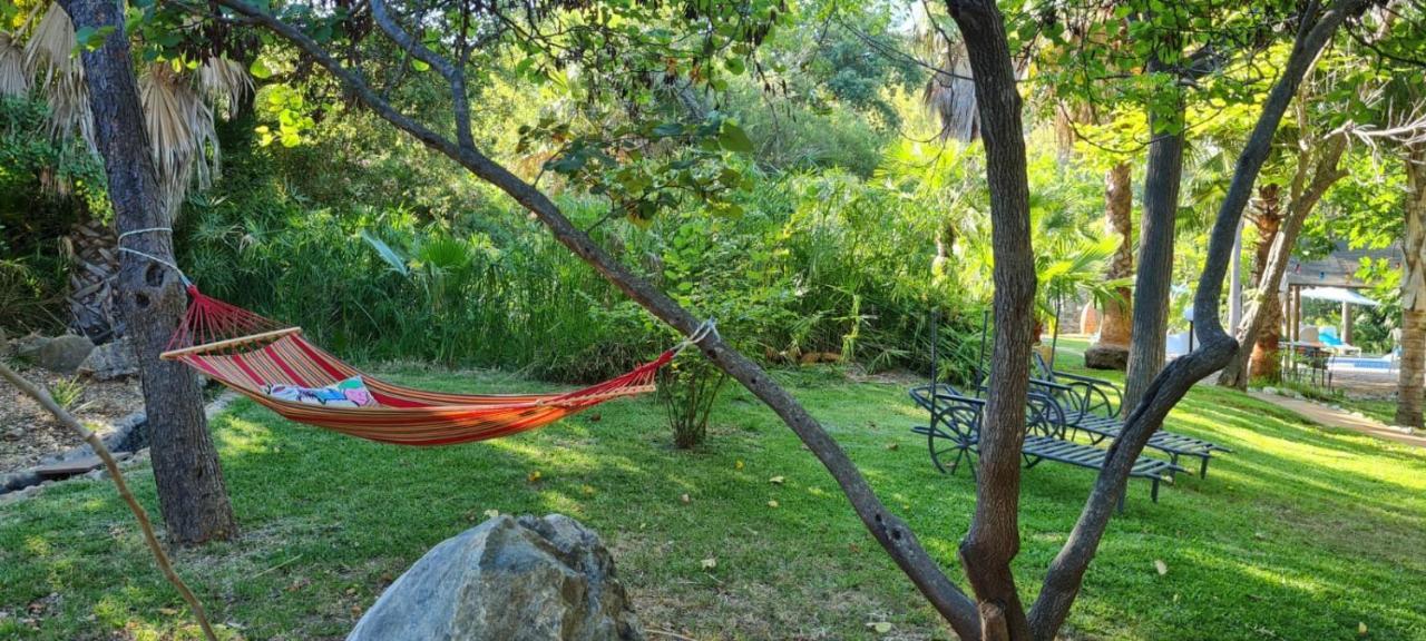 كوين La Fuente Oase B&B المظهر الخارجي الصورة